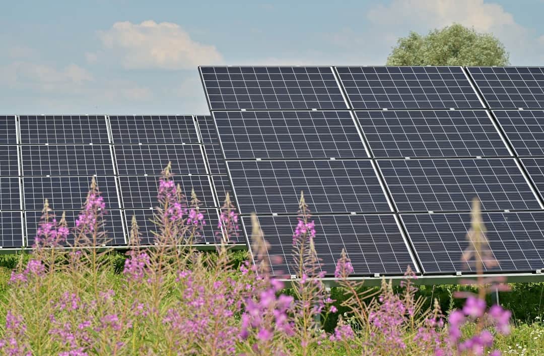 Affordability and Climate Action Don’t Have to be Opposites